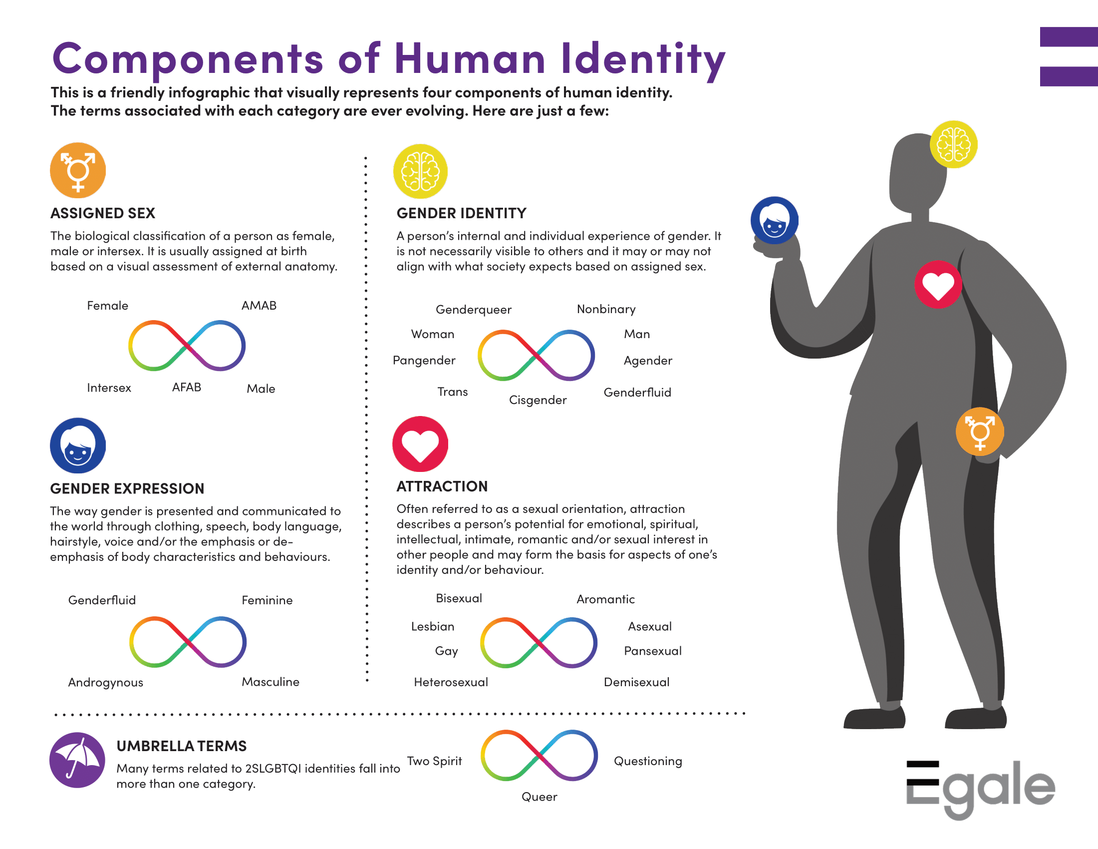 Understanding Sex, Gender and Sexual Identity | Kelty Mental Health