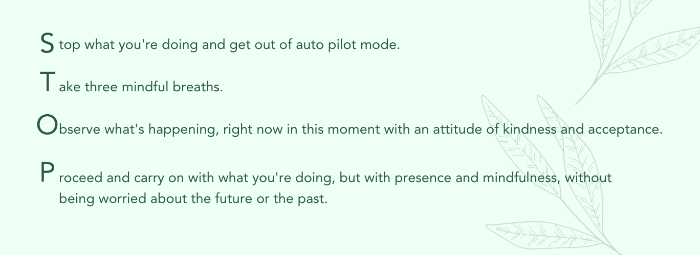 Stop what you're doing and get out of auto pilot mode. Take three mindful breaths. Observe what's happening, right now in this moment with an attitude of kindness and acceptance. Proceed and carry on with what you're doing but with presence