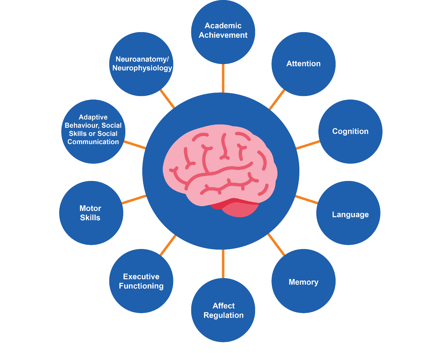 fasd life journey spectrum connections