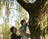 father lifts son into tree